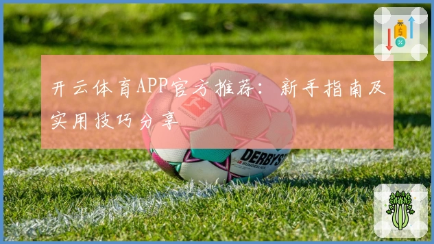 开云体育APP官方推荐：新手指南及实用技巧分享