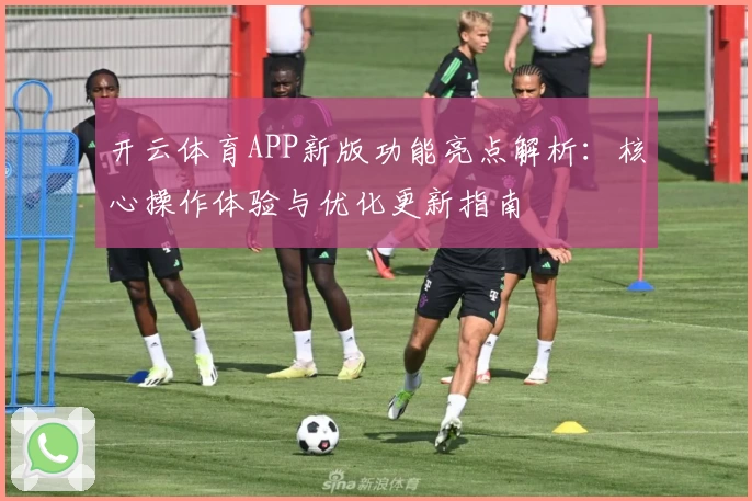 开云体育APP新版功能亮点解析：核心操作体验与优化更新指南